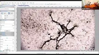 Explore Alliance Presents: MicroCosmos Voyages - Live Microscopy