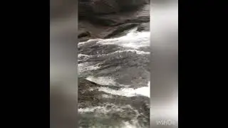 Mankulam trip