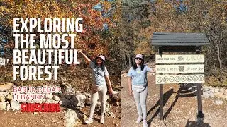 A Walk Through Lebanon&rsquo;s Most Beautiful Forest 🌿 | Barouk Cedar