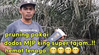 dodos MJP king untuk pruning,super tajam massee..🤔🤔🤔🤔