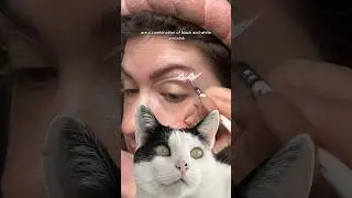 Graphic liner inspired by my cat, Bert!🐱