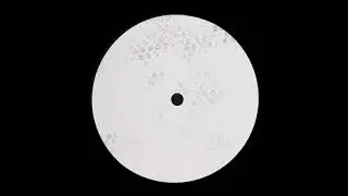 Sebastian S. - Organic States (Jazz'n Rythm Mix) [Unreleased]
