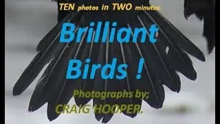 Fine Art Photography, 10 in 2  