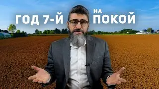 В огороде бузина, а на Синае - шмита