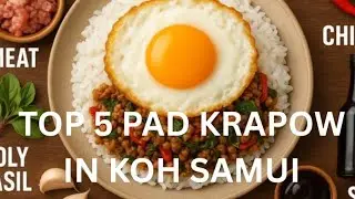 TOP 5 PLACES TO HAVE PAD KRAPOW (TRATIONAL THAI DISH). ON KOH SAMUI, THAILAND 