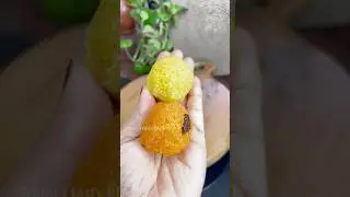 ആർക്കെങ്കിലും 🔥laddoos വേണോ 😋👌| Evening Snack Recipe | Breakfast Recipe | Trending