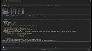 Gemini-CLI with Gemin-3-Pro to convert mov file to mp4
