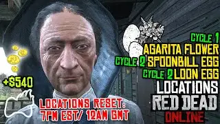 RED DEAD ONLINE Agarita Flower CYCLE 1 Loon Egg & Spoonbill Egg CYCLE 2 Locations
