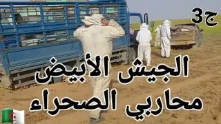 معانات مربيين النحل في صحراء الجزائر 🇩🇿 هاذو محاربي الصحراء وهم ليسو لاعبي كرة القدم 