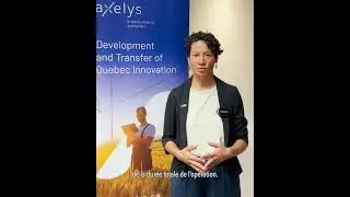 Syst&egrave;me de r&eacute;alit&eacute; virtuelle pour la planification des chirurgies de stimulation c&eacute;r&eacute;brale profonde