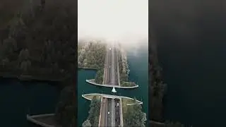 The &lsquo;reverse bridge&rsquo; design in the Netherlands 🇳🇱 is engineering excellence#ytviral #ytshorts ..