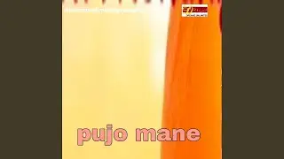 Pujo Mane