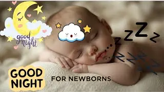 Womb Sounds for Baby Sleep 💤 Heartbeat + White Noise | Newborn Deep Sleep Ambience