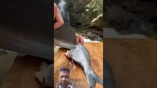 fishing cooking Dekho bhai