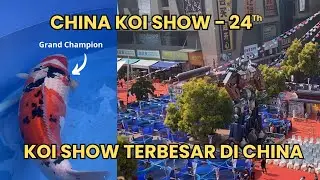 China Koi Show 24th - KOI SHOW TERBESAR DI CHINA 2024 | Jaf Koi Centre