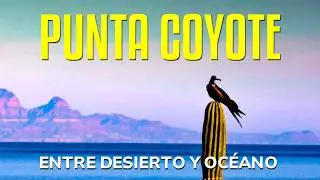 Punta Coyote y sus panoramas infinitos: desierto, costa y aventura