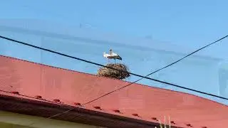 Rodzinny Dom Miechowice Wielkie