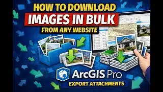 How to Download Images in bulk from Any Website through ArcGIS Pro (Export Attachments)?