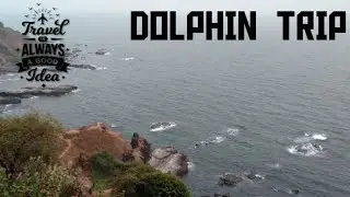 DOLPHIN TRIP ! First video of our channel!!!  Adventure guide