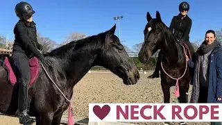 Neck Rope ✨ y Bare back!! Clase con collar! Cambiamos de pie sin brida😱 ⭐️