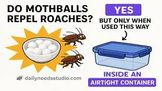 🧺 How to Use Mothballs Without Making Your House Smell Like a Science Lab