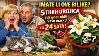 IMATE LI OVE BILJKE? 🙀 5 TIHIH UBOJICA koji mogu ubiti vašu mačku za 24 SATA!