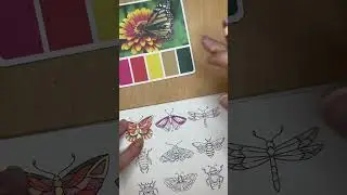#coloralong Wednesday @johannabasford #smallvictories #butterfly #insect page. #fabercastell
