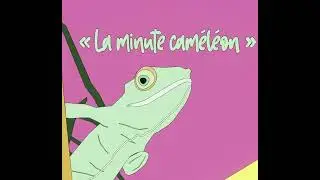 La Minute Cam&eacute;l&eacute;on - Episode 5 - L&rsquo;am&eacute;nagement du flexarium