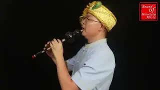 Concert Grade Chinese Free Reed Gourd & Black Sandalwood Flute Hulusi Instrument 葫芦丝