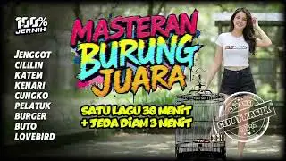 CEPAT MASUK!! Masteran Burung Juara Kombinasi lengkap Satu Jalur Dengan Jeda