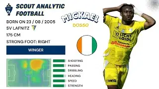 MCHAEL DOSSO ( 2024 - 2025 ) ( WINGER - SV LAFNITZ AUTRICHE )
