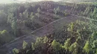 Przelot dronem nad lasem w gminie Syc&oacute;w 29.07.2021