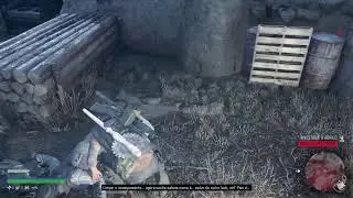 LIVE DAYS GONE PS5
