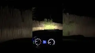 Новинка 2021: Дац-кха са хьоь болчу безамна доза 😍