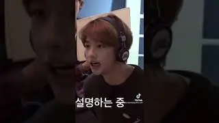 Types of llama aka Hyunjin