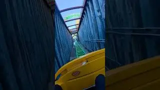 Cheetah Hunt Rollercoaster 🎢 Busch Gardens Tampa Bay #florida #coasterculture #cheetah #ride