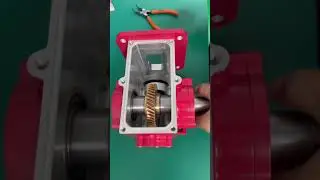 1HP Right Gearbox Assembly (worm wheel)