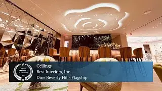 Ceilings - Dior Beverly Hills Flagship - Best Interiors, Inc.