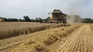 BECOOL - Recovering Chaff: Converting Untapped Biomass Resource into Valuable Feedstock