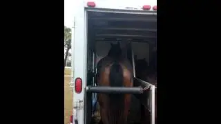 Bringing the boys home