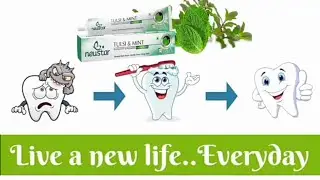 Mi Lifestyle Nustar Tulsi and Mint Toothpaste