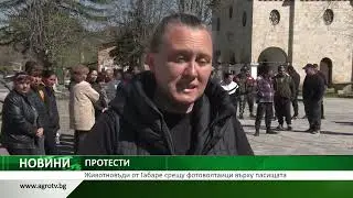 Животновъди от Габаре срещу фотоволтаици върху пасищата