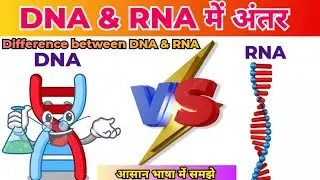 DNA aur RNA Mein Antar | Difference Between DNA and RNA in Hindi | DNA और RNA मे अंतर | DNA VS RNA |