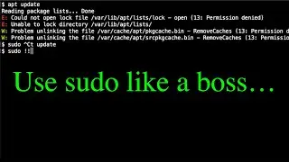 cli tip #1 - Using sudo like a boss...