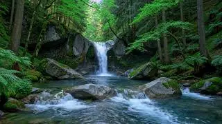 Peaceful River Soundscape 🌿 Natural Water Ambience for Meditation and Relaxation #1527