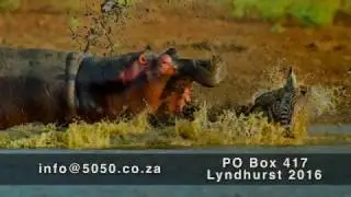 50|50 Veldfokus promo (Afrikaans)