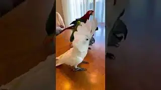 Танцуя под свою любимую мелодию