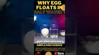Why Egg Floats in Water - Simplified Science Experiments for Kids | Tamil #shorts #tamil #kidsfun