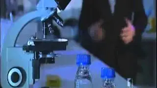 ABC News Malaria study Sept 2013