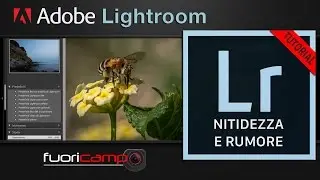Tutorial Lightroom 6 / CC - #8 NITIDEZZA E RUMORE (ITA)